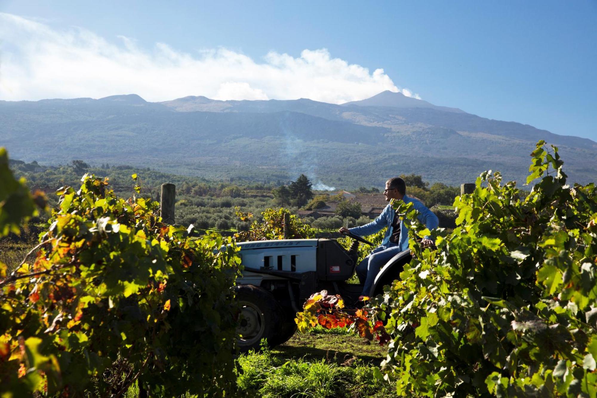 Гостевой дом Feudo Vagliasindi -Wine Experience- Рандаццо Экстерьер фото